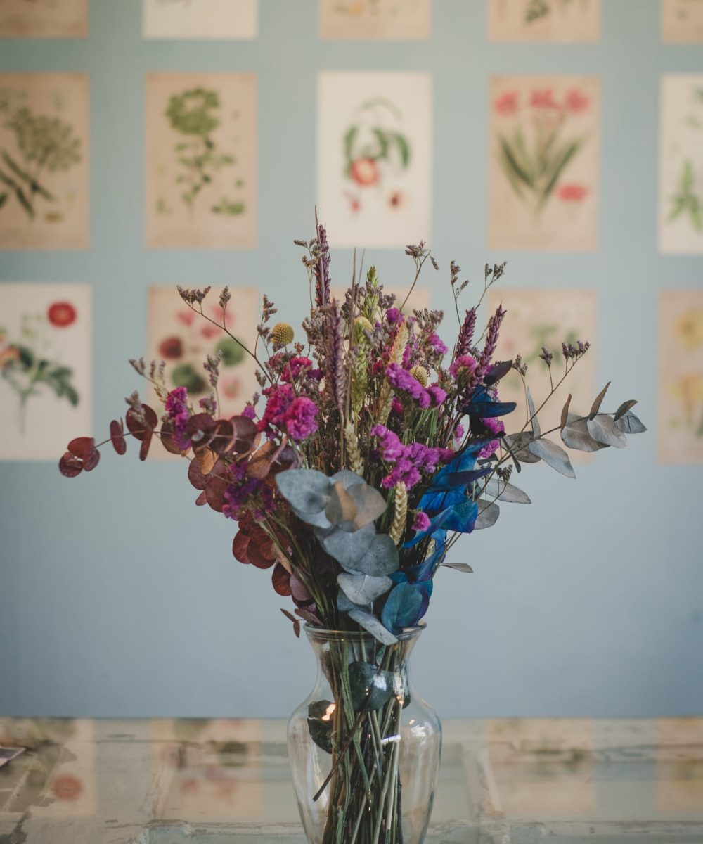 Plantas y otros regalos en Siempreviva Floristería en Solares10