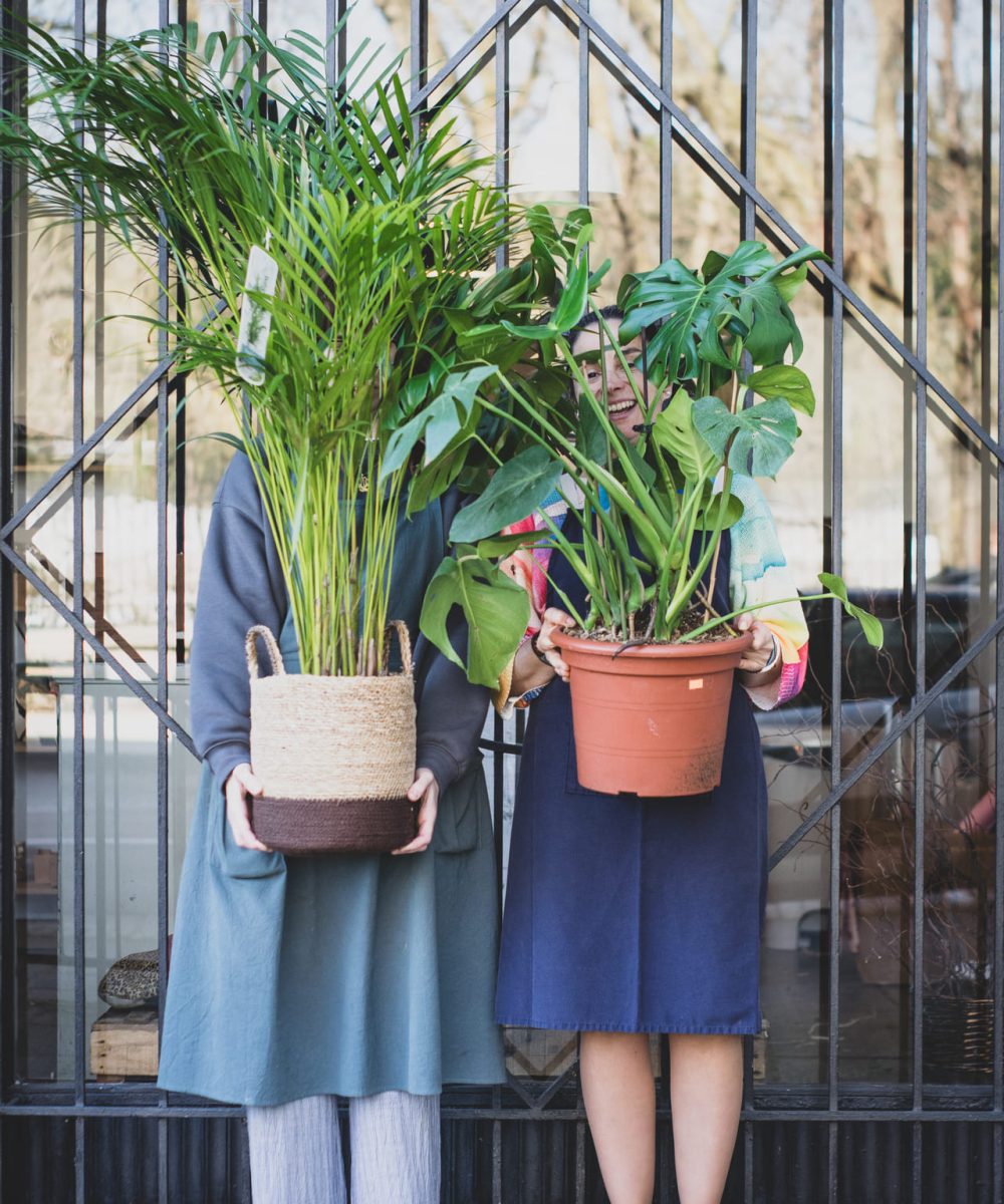 Plantas y regalos en Siempreviva Floristería10