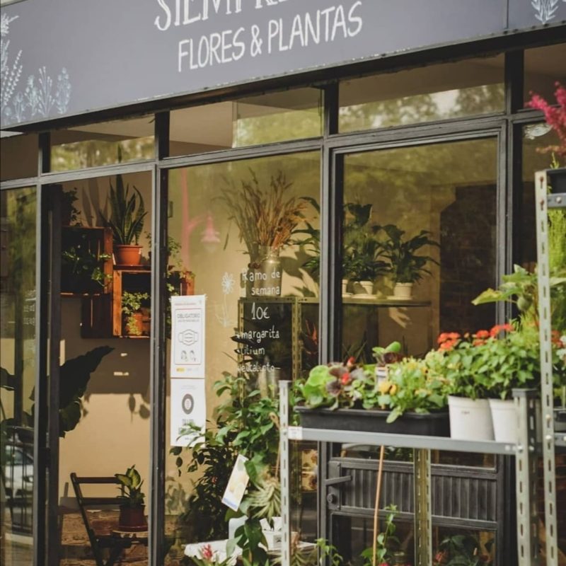 Siempreviva Floristería en Cantabria6
