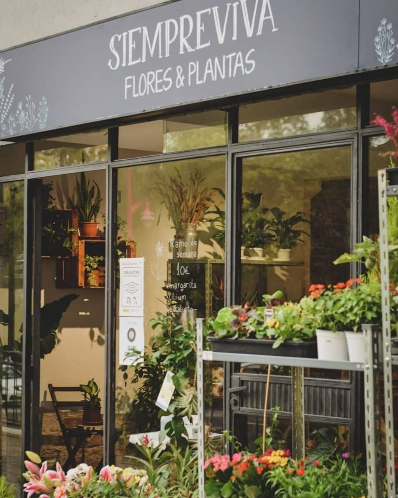 Siempreviva Floristería en Cantabria6